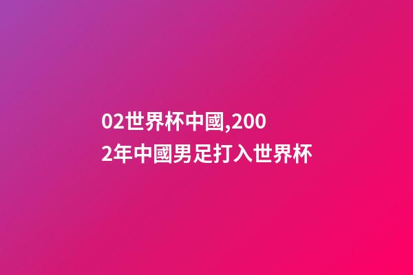 02世界杯中國,2002年中國男足打入世界杯-第1張-觀點-玄機派
