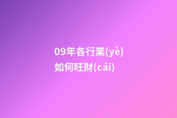 09年各行業(yè)如何旺財(cái)