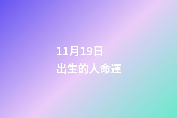 11月19日出生的人命運(關于養貓的知識點)-第1張-觀點-玄機派