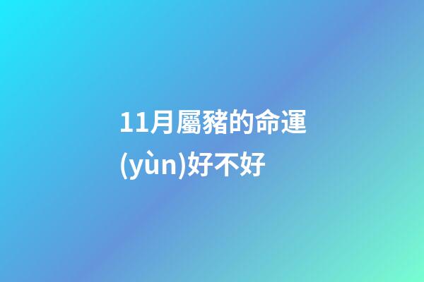 11月屬豬的命運(yùn)好不好(這個(gè)月出生的生肖最好命，貴人運(yùn)極旺，名利雙收!你是嗎？)-第1張-觀點(diǎn)-玄機(jī)派