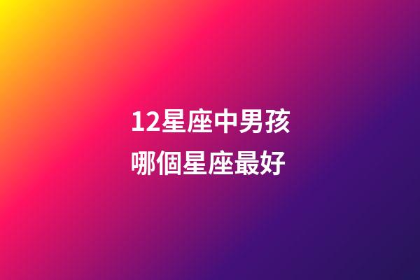 12星座中男孩哪個星座最好-第1張-星座運勢-玄機派
