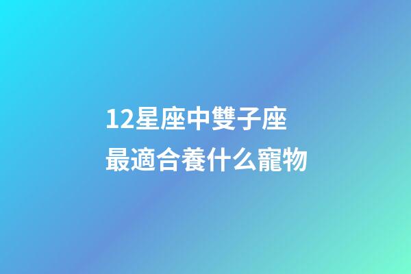 12星座中雙子座最適合養什么寵物-第1張-星座運勢-玄機派