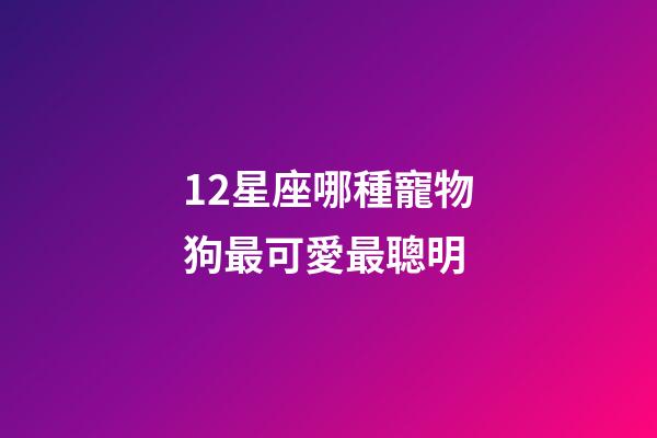 12星座哪種寵物狗最可愛最聰明-第1張-星座運勢-玄機派