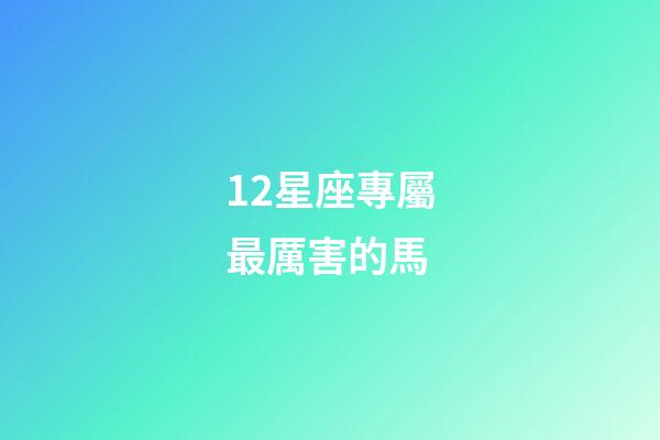 12星座專屬最厲害的馬-第1張-星座運勢-玄機派