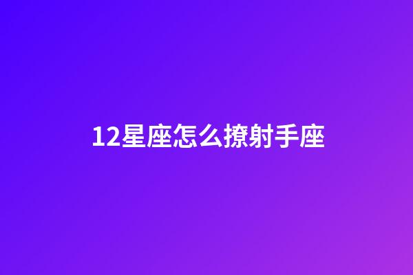 12星座怎么撩射手座-第1張-星座運(yùn)勢(shì)-玄機(jī)派