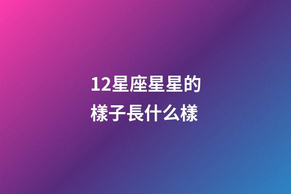 12星座星星的樣子長什么樣-第1張-星座運勢-玄機派