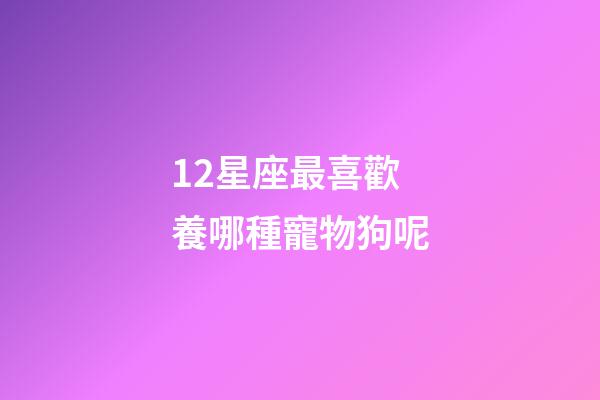 12星座最喜歡養哪種寵物狗呢-第1張-星座運勢-玄機派