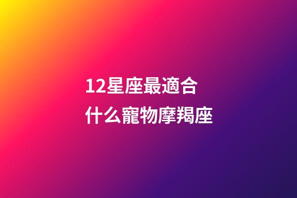 12星座最適合什么寵物摩羯座-第1張-星座運(yùn)勢-玄機(jī)派