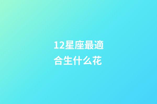 12星座最適合生什么花-第1張-星座運(yùn)勢(shì)-玄機(jī)派