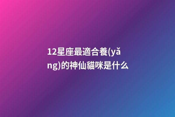 12星座最適合養(yǎng)的神仙貓咪是什么-第1張-星座運勢-玄機派