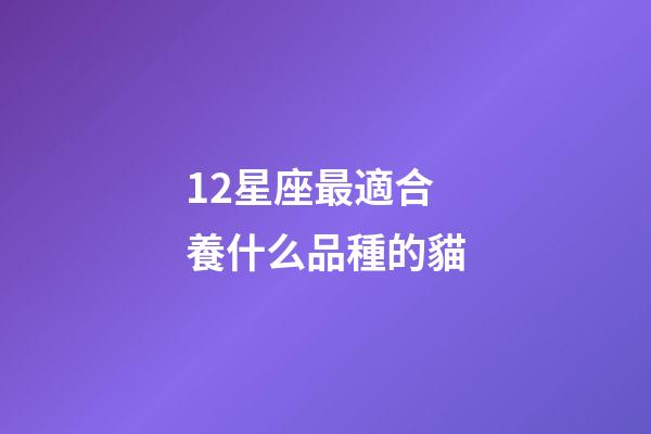 12星座最適合養什么品種的貓-第1張-星座運勢-玄機派