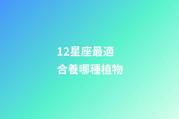 12星座最適合養哪種植物-第1張-星座運勢-玄機派