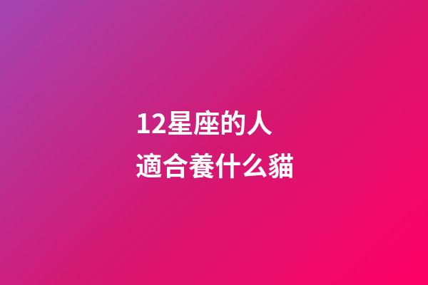12星座的人適合養什么貓-第1張-星座運勢-玄機派