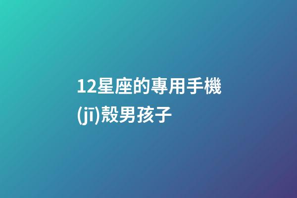 12星座的專用手機(jī)殼男孩子-第1張-星座運勢-玄機(jī)派