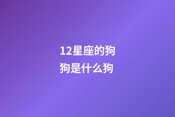 12星座的狗狗是什么狗-第1張-星座運勢-玄機派