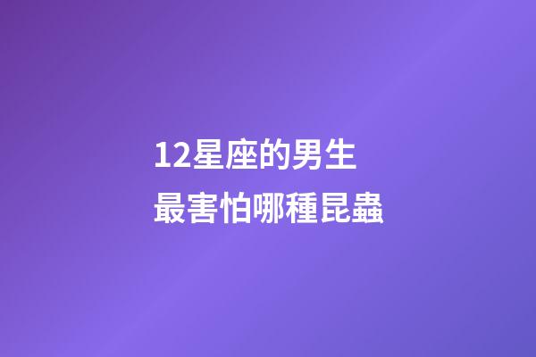 12星座的男生最害怕哪種昆蟲-第1張-星座運勢-玄機派