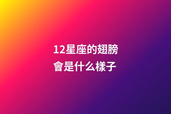 12星座的翅膀會是什么樣子-第1張-星座運勢-玄機派