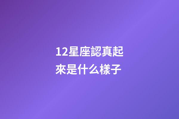 12星座認真起來是什么樣子-第1張-星座運勢-玄機派