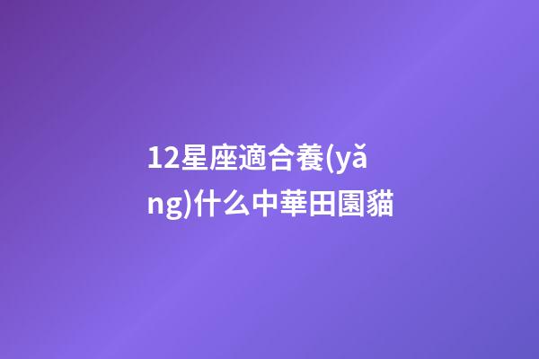 12星座適合養(yǎng)什么中華田園貓