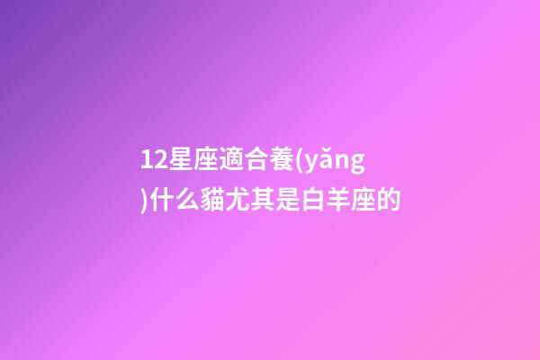 12星座適合養(yǎng)什么貓尤其是白羊座的-第1張-星座運勢-玄機(jī)派
