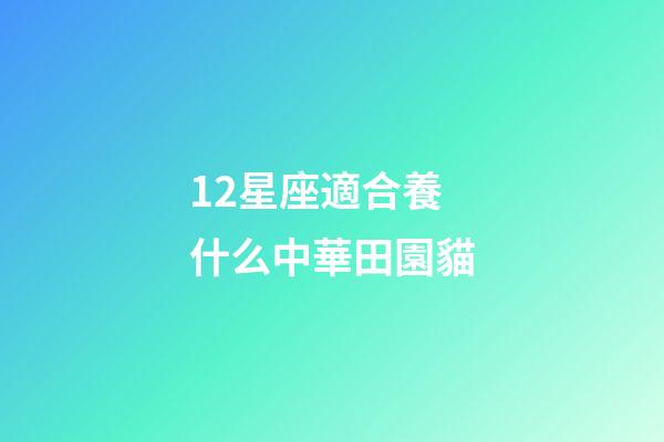 12星座適合養什么中華田園貓-第1張-星座運勢-玄機派