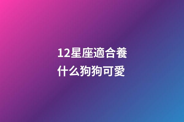 12星座適合養什么狗狗可愛-第1張-星座運勢-玄機派