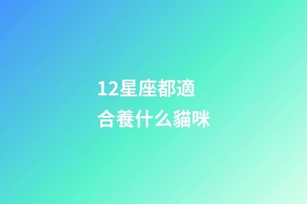 12星座都適合養什么貓咪-第1張-星座運勢-玄機派