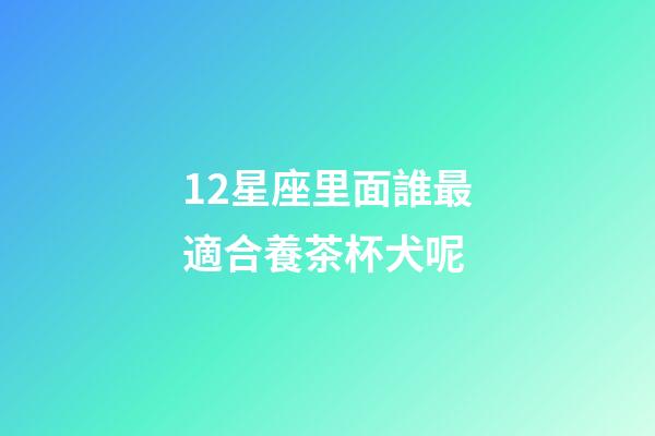 12星座里面誰最適合養茶杯犬呢