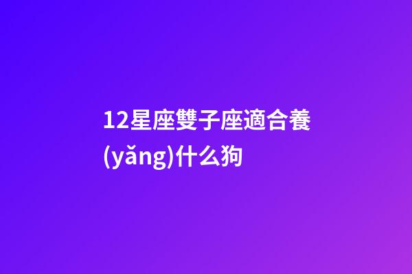 12星座雙子座適合養(yǎng)什么狗-第1張-星座運(yùn)勢(shì)-玄機(jī)派