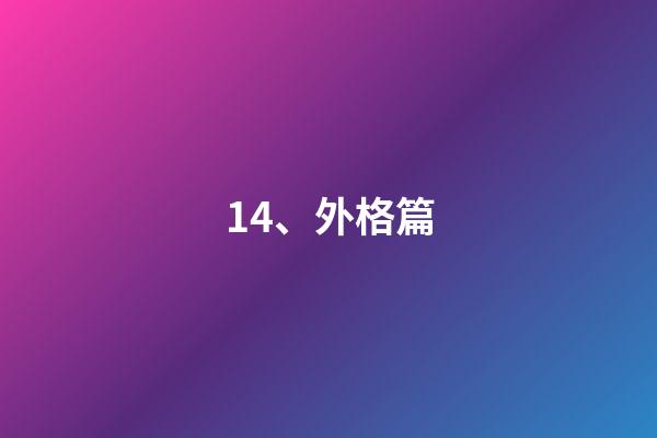 14、外格篇