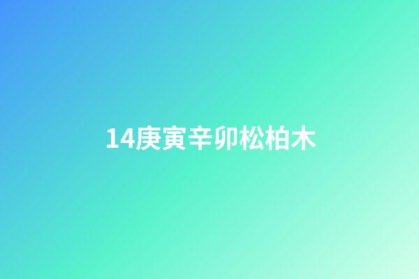 14.庚寅辛卯松柏木