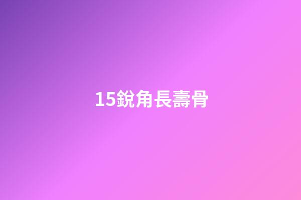 15.銳角長壽骨