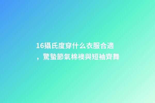 16攝氏度穿什么衣服合適，驚蟄節氣棉襖與短袖齊舞-第1張-觀點-玄機派