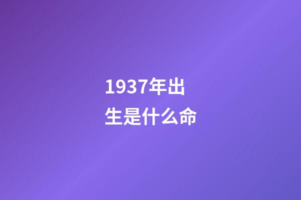 1937年出生是什么命