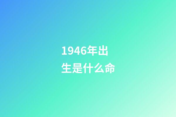 1946年出生是什么命