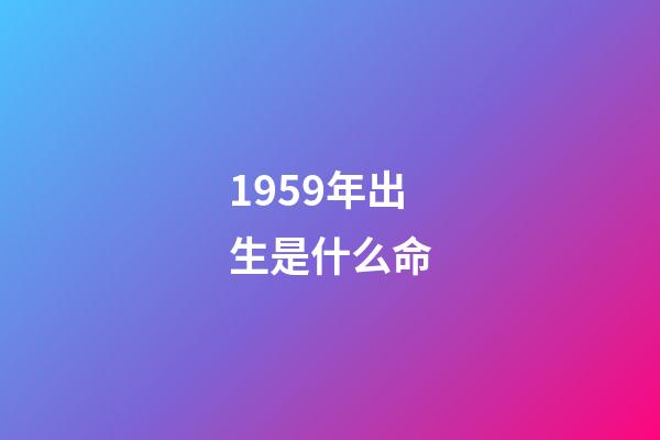 1959年出生是什么命