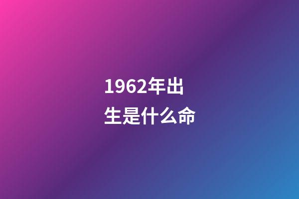 1962年出生是什么命
