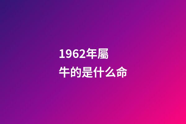 1962年屬牛的是什么命(60,61,62年鼠牛虎的財運)-第1張-觀點-玄機派