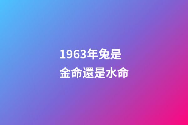 1963年兔是金命還是水命(1963年出生的公務員，40年的工齡，退休能領多高的養老金？)-第1張-觀點-玄機派