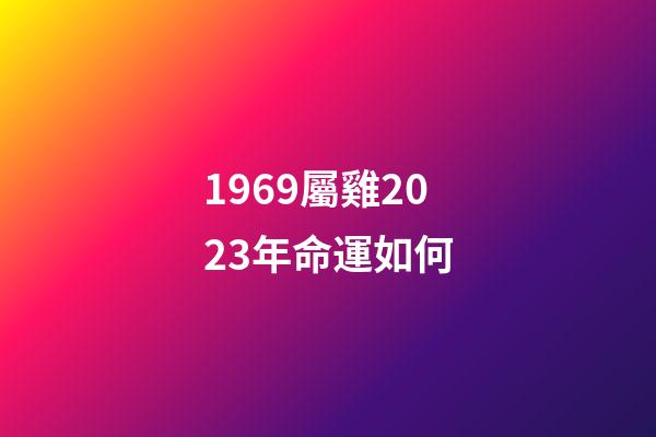1969屬雞2023年命運如何(1969年出生的男性要延遲退休嗎？)-第1張-觀點-玄機派