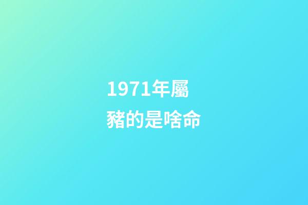 1971年屬豬的是啥命(1961~1971年出生且當年交過計劃生育罰款的農民，現如今要享福了)-第1張-觀點-玄機派
