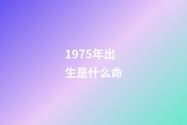 1975年出生是什么命