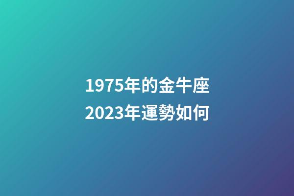 1975年的金牛座2023年運勢如何-第1張-星座運勢-玄機派