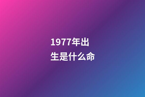 1977年出生是什么命