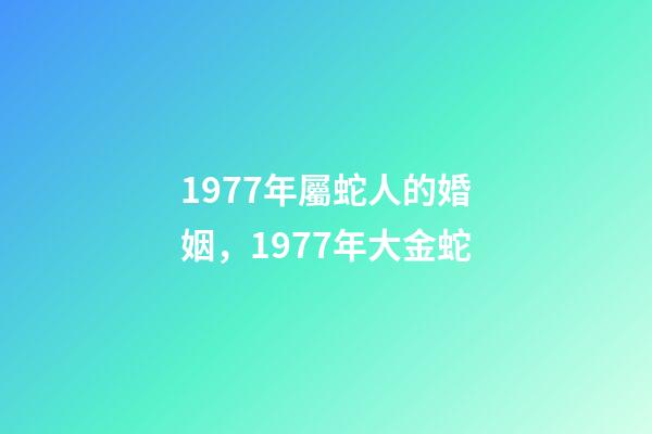 1977年屬蛇人的婚姻，1977年大金蛇-第1張-觀點-玄機派
