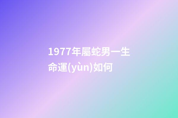 1977年屬蛇男一生命運(yùn)如何(53、65、77年肖蛇人在17年運(yùn)程)-第1張-觀點(diǎn)-玄機(jī)派