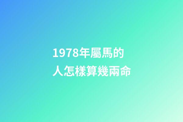 1978年屬馬的人怎樣算幾兩命(內(nèi)蒙42年工齡個人賬戶11.5萬，繳費指數(shù)100%，退休后養(yǎng)老金有多少)-第1張-觀點-玄機派