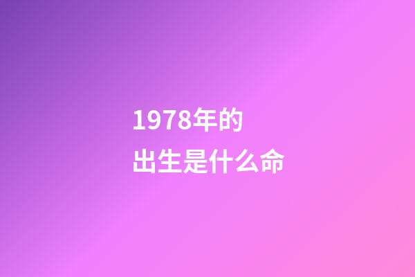 1978年的出生是什么命