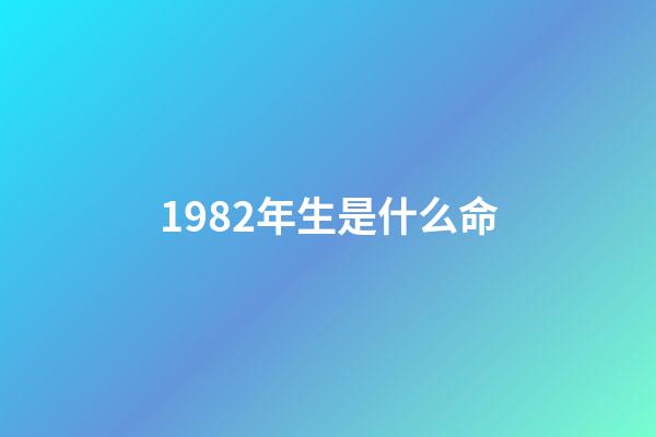 1982年生是什么命