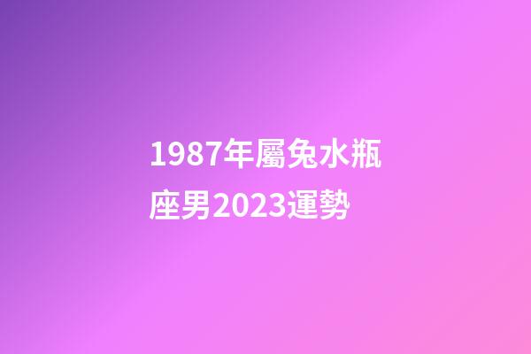 1987年屬兔水瓶座男2023運勢-第1張-星座運勢-玄機派
